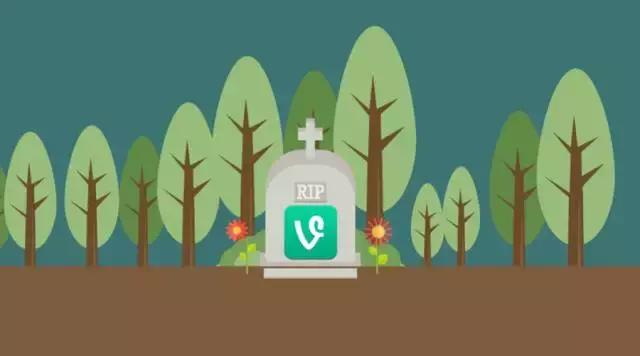 短视频应用的鼻祖Vine死了，中国短视频app出海迎来寒冬？