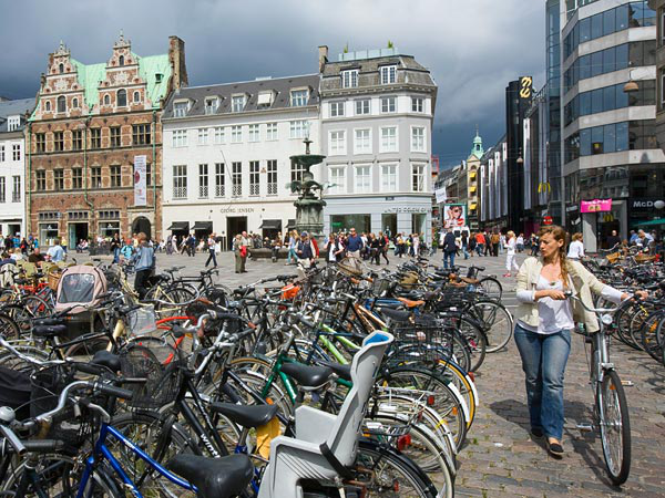 mdogff04i1hx5bik.jpg