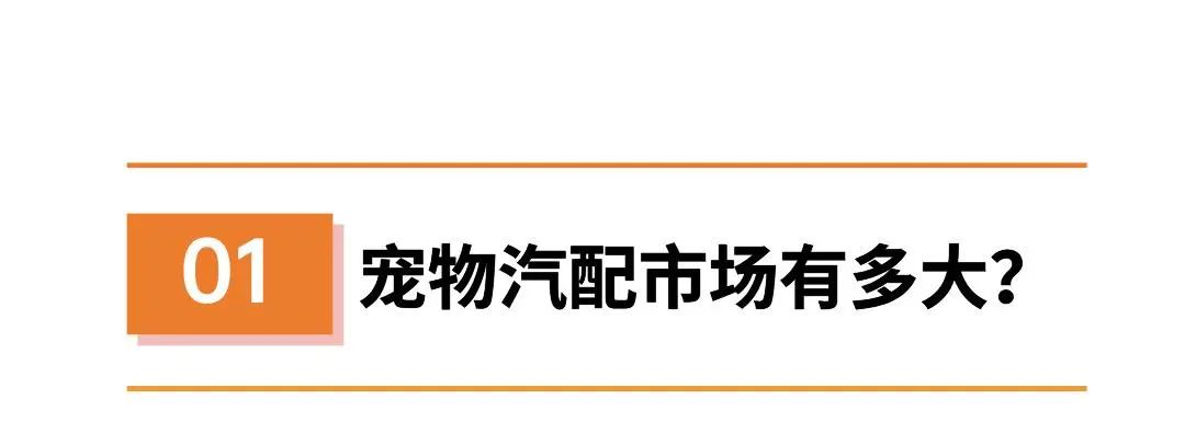 市值百亿，小众宠物品类爆卖3000+单，发掘汽配市场新赛道！