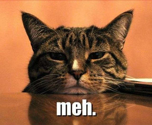 meh-cat_featured