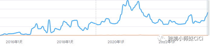 平台和独立站如何共赢 |小而美案例拆解