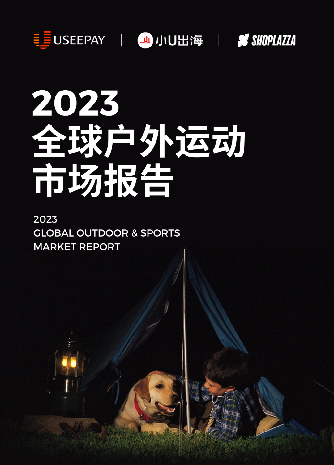 最后三天！跨境电商独立站专项扶持资金申报